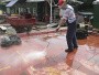 OERTZEN Е 1800  применение OERTZEN Е 1800  применение